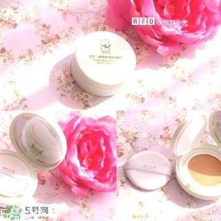 ��ľ֮����ʲô���ӣ���ľ֮�ĺ�����